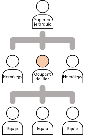 Gràfic amb organigrama bàsic